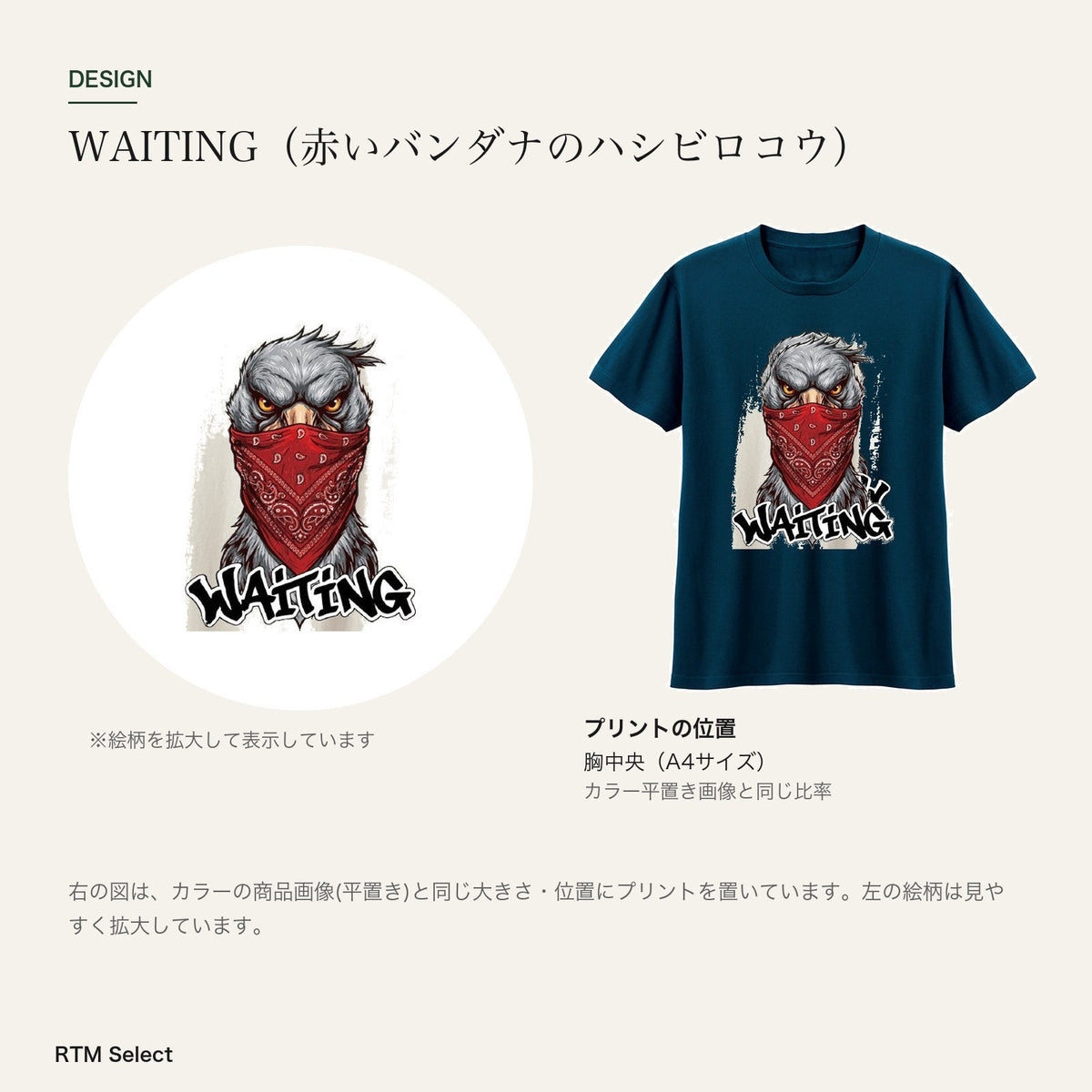 WAITING（赤いバンダナのハシビロコウ） キッズTシャツ デザインとプリント位置図
