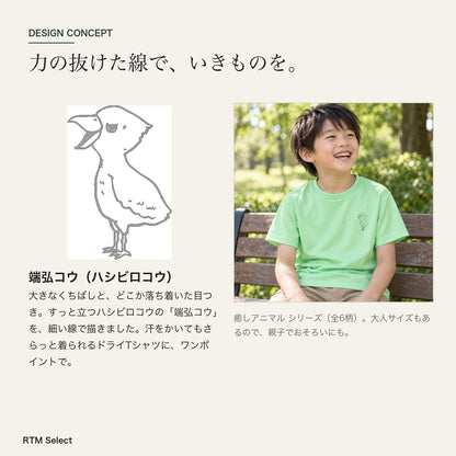 端弘コウ キッズドライTシャツ デザインコンセプト