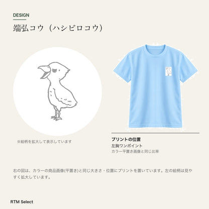 端弘コウ キッズドライTシャツ デザインとプリント位置図
