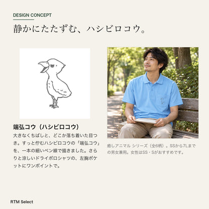 端弘コウ ドライポロシャツ デザインコンセプト